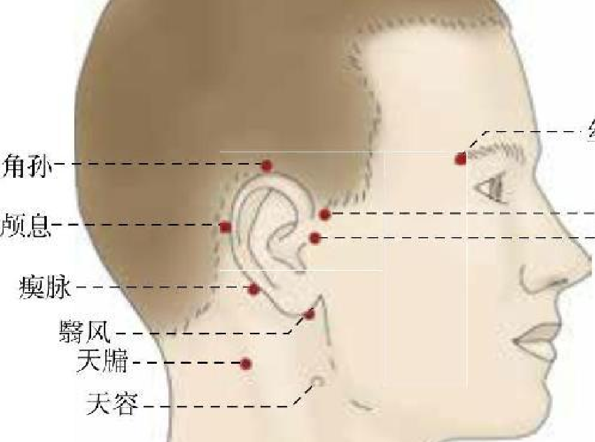 《穴位按摩速查全真圖解》<BR>陳以國-成澤東-吳鳳霞插圖21