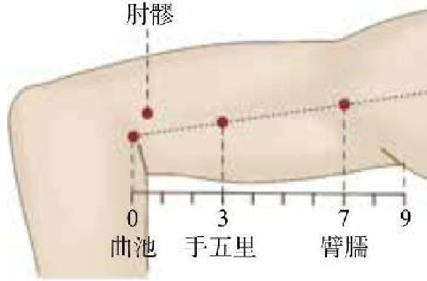 《穴位按摩速查全真圖解》<BR>陳以國-成澤東-吳鳳霞插圖5