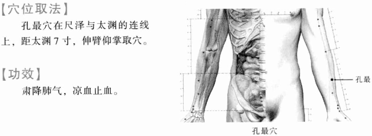 《穴位按摩速查全真圖解》<BR>陳以國-成澤東-吳鳳霞插圖