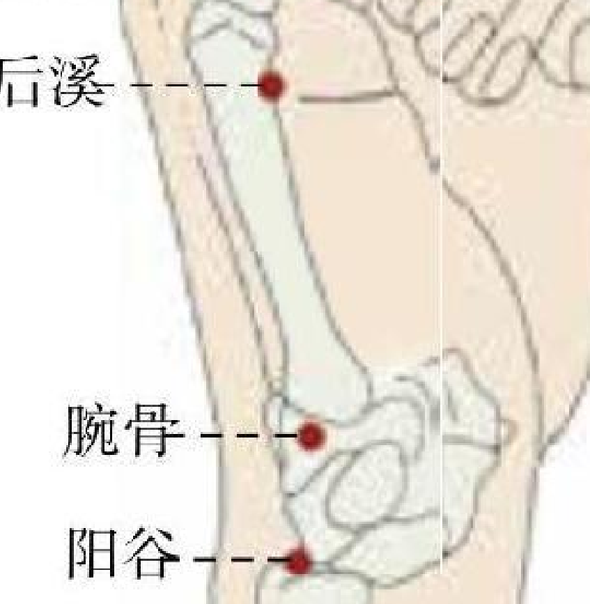 《穴位按摩速查全真圖解》<BR>陳以國-成澤東-吳鳳霞插圖18