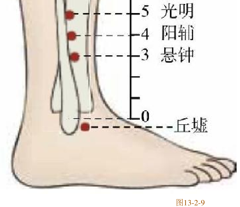 常見病癥及穴位插圖2