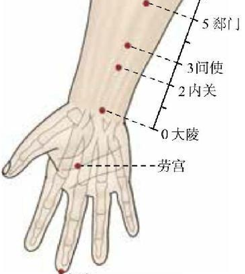 常見病癥及穴位插圖15